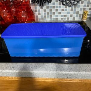 Tupperware fruit and vegetable keeper for frig